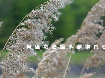 网络贷款最多逾期几日 网络贷款最多逾期几日