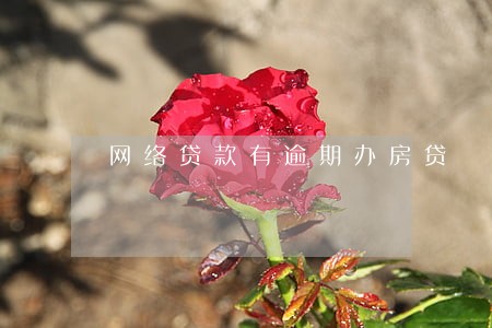 网络贷款有逾期办房贷 网络贷款有逾期办房贷