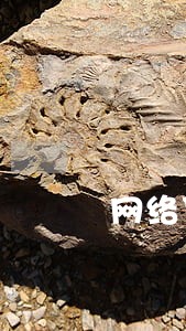 网络贷款未逾期联系家属 网络贷款未逾期联系家属