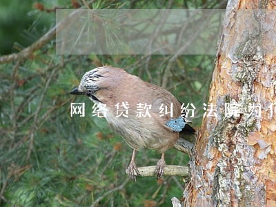 网络贷款纠纷法院为何不受理