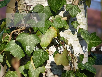 网络贷款违规收取逾期费用 网络贷款违规收取逾期费用
