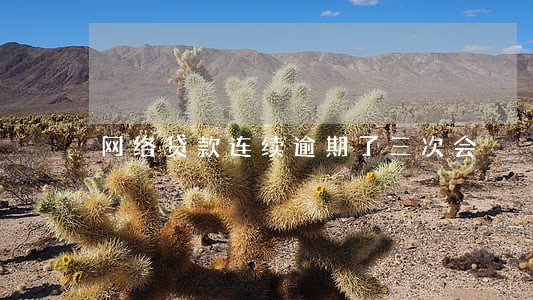 网络贷款连续逾期了三次会 网络贷款连续逾期了三次会