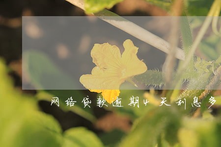 网络贷款逾期4天利息多少 网络贷款逾期4天利息多少