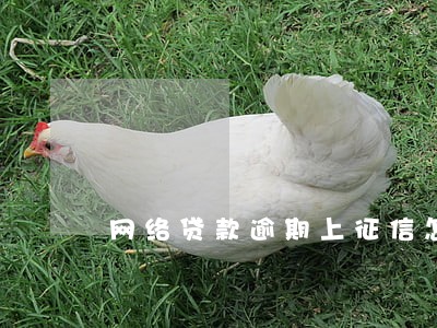 网络贷款逾期上征信怎么办 网络贷款逾期上征信怎么办