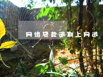 网络贷款逾期上网逃 网络贷款逾期上网逃