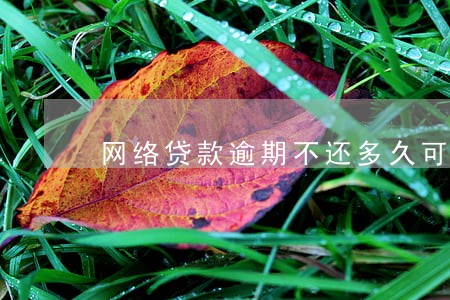 网络贷款逾期不还多久可以没事