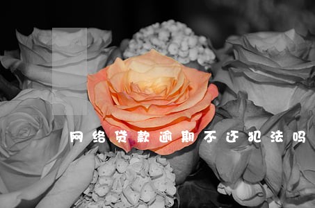 网络贷款逾期不还犯法吗 网络贷款逾期不还犯法吗