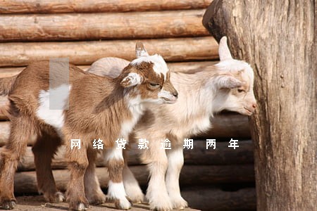 网络贷款逾期两年 网络贷款逾期两年