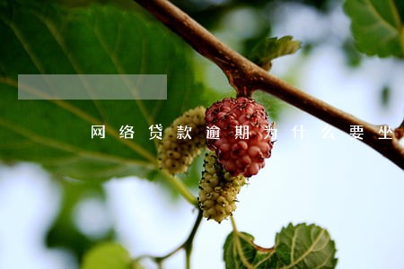 网络贷款逾期为什么要坐牢 网络贷款逾期为什么要坐牢