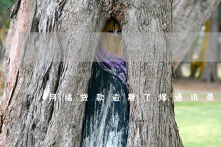 网络贷款逾期了爆通讯录 网络贷款逾期了爆通讯录