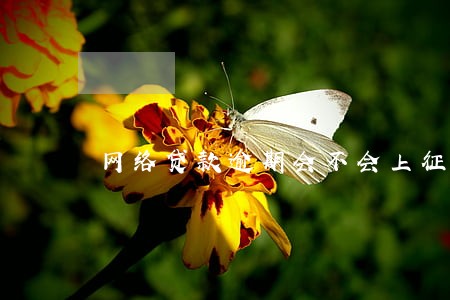 网络贷款逾期会不会上征信 网络贷款逾期会不会上征信
