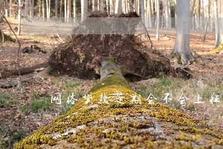网络贷款逾期会不会上征信系统 网络贷款逾期会不会上征信系统