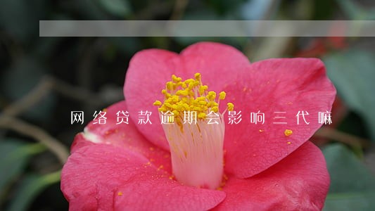 网络贷款逾期会影响三代嘛 网络贷款逾期会影响三代嘛