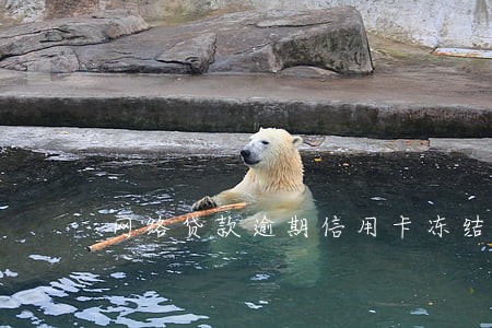 网络贷款逾期信用卡冻结 网络贷款逾期信用卡冻结