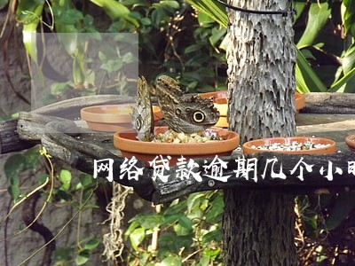 网络贷款逾期几个小时 网络贷款逾期几个小时