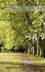 网络贷款逾期利息国家规定 网络贷款逾期利息国家规定