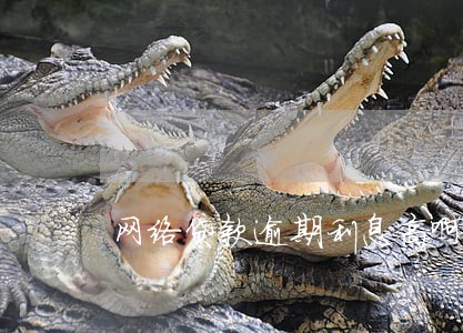 网络贷款逾期利息高啊 网络贷款逾期利息高啊