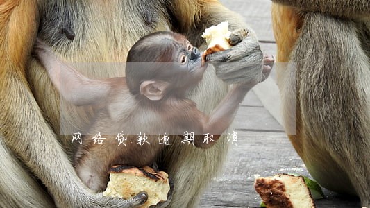 网络贷款逾期取消 网络贷款逾期取消