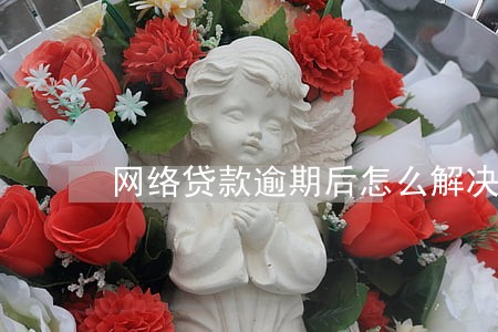 网络贷款逾期后怎么解决 网络贷款逾期后怎么解决