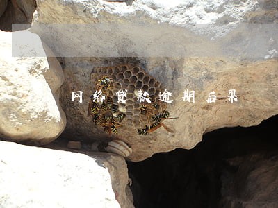 网络贷款逾期后果 网络贷款逾期后果