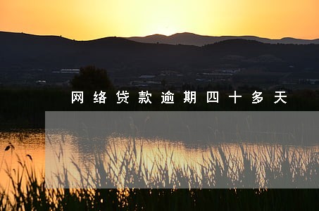 网络贷款逾期四十多天 网络贷款逾期四十多天