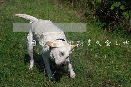 网络贷款逾期多久会上诉 网络贷款逾期多久会上诉