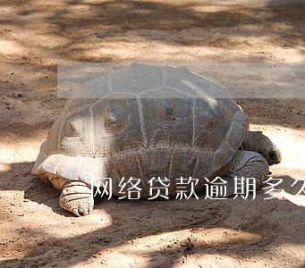 网络贷款逾期多久会上黑名单 网络贷款逾期多久会上黑名单