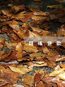 网络贷款逾期多久会电话 网络贷款逾期多久会电话