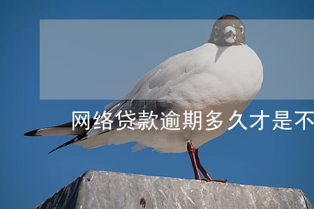 网络贷款逾期多久才是不良 网络贷款逾期多久才是不良