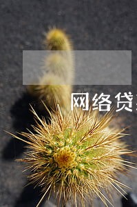 网络贷款逾期天天打电话 网络贷款逾期天天打电话