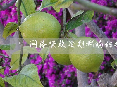 网络贷款逾期影响信誉吗 网络贷款逾期影响信誉吗