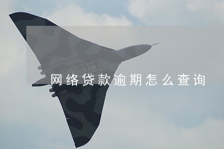 网络贷款逾期怎么查询 网络贷款逾期怎么查询