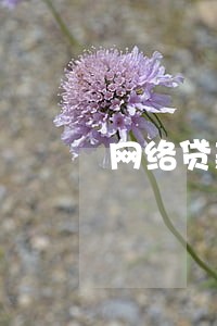 网络贷款逾期是否会上征信