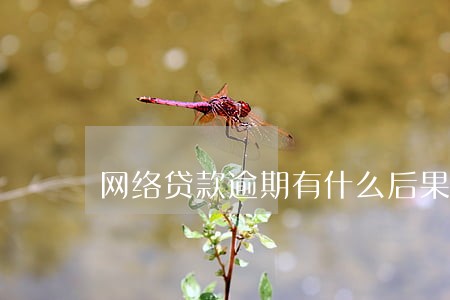 网络贷款逾期有什么后果严重 网络贷款逾期有什么后果严重