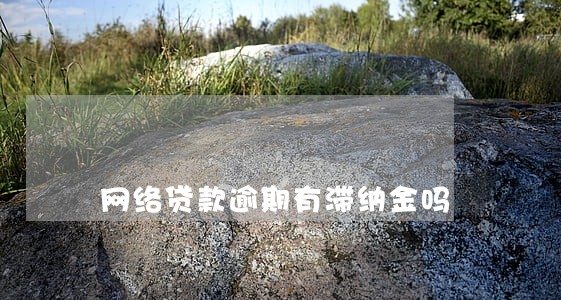 网络贷款逾期有滞纳金吗 网络贷款逾期有滞纳金吗