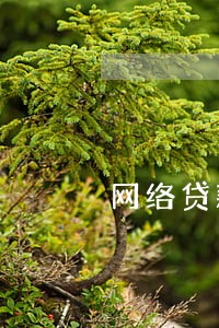 网络贷款逾期法律责任 网络贷款逾期法律责任