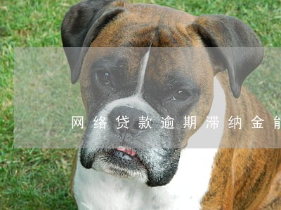 网络贷款逾期滞纳金能不还么 网络贷款逾期滞纳金能不还么