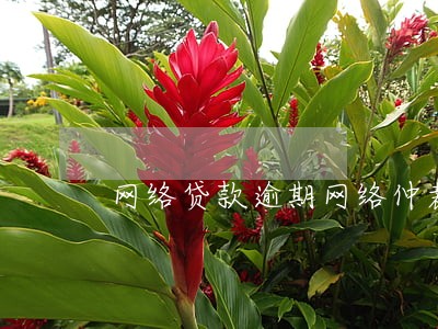 网络贷款逾期网络仲裁 网络贷款逾期网络仲裁