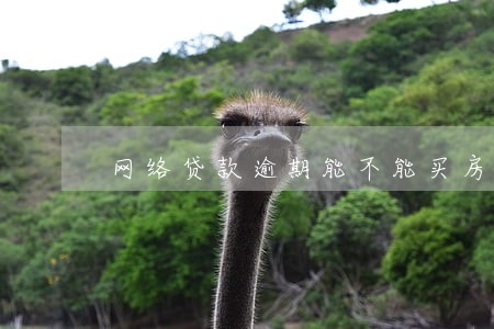 网络贷款逾期能不能买房 网络贷款逾期能不能买房