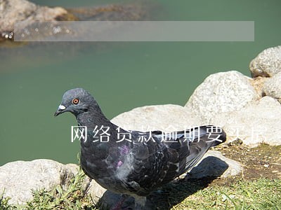 网络贷款逾期要买房 网络贷款逾期要买房