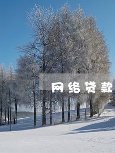 网络贷款逾期说明