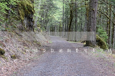 网络贷款逾期费用多少钱 网络贷款逾期费用多少钱