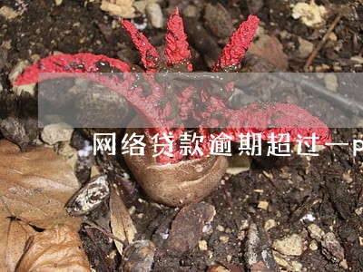 网络贷款逾期超过一pp