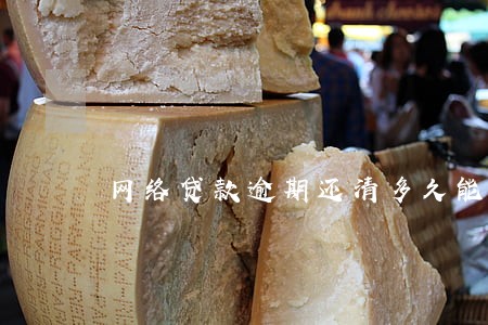 网络贷款逾期还清多久能贷