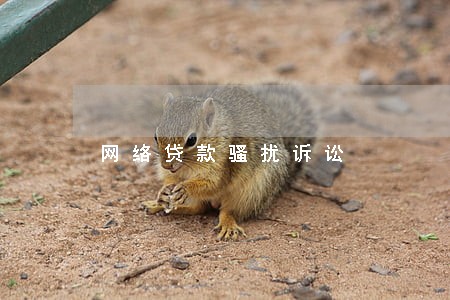 网络贷款骚扰诉讼 网络贷款骚扰诉讼