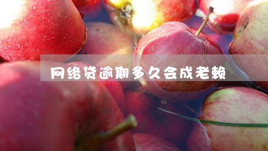 网络贷逾期多久会成老赖 网络贷逾期多久会成老赖