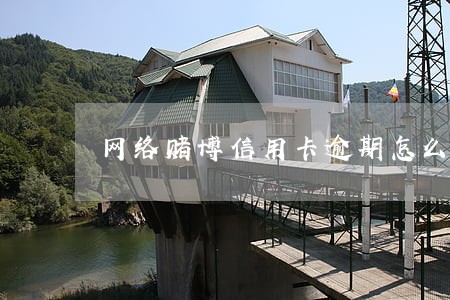 网络赌博信用卡逾期怎么办 网络赌博信用卡逾期怎么办