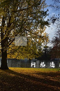 网络违法举报不能提交 网络违法举报不能提交