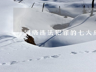 网络违法犯罪的七大成因 网络违法犯罪的七大成因