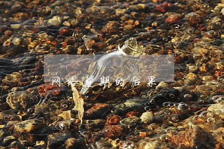 网络逾期的后果 网络逾期的后果